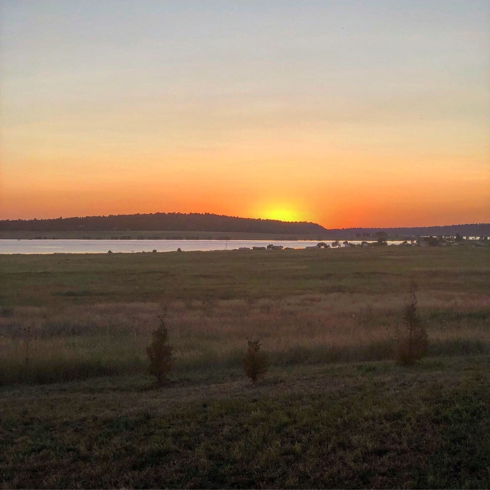 Meet your Posher, Felicia